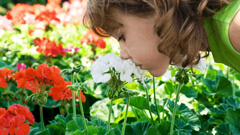 Alergia ocular na primavera é comum – Sinais e Sintomas